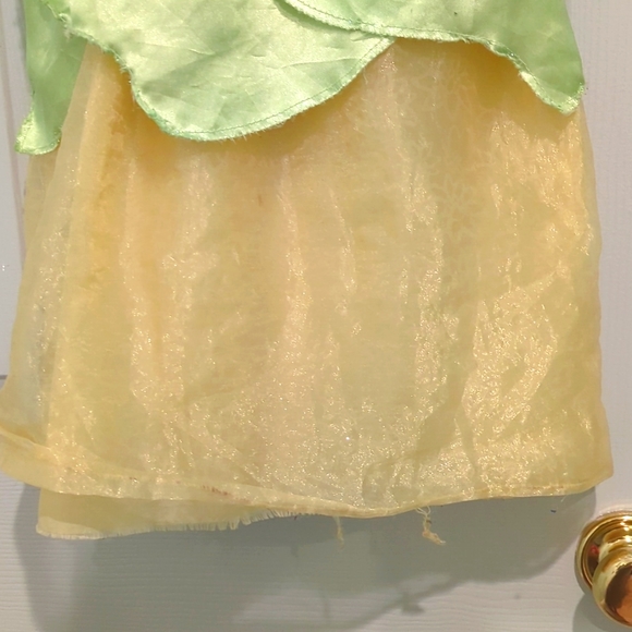 4-6 Disney Princess & The Frog Tiana Dress - Picture 4 of 7